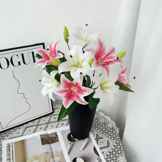 Lily flowers