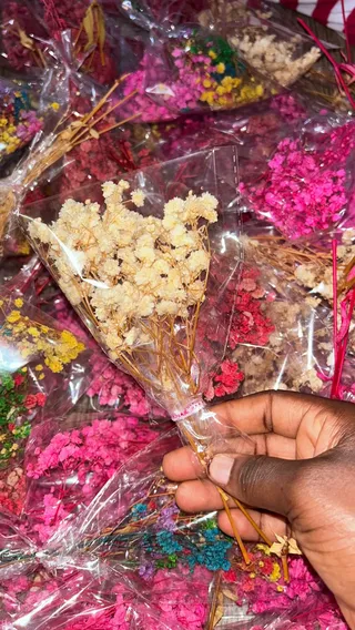 Natural dried baby breath flowers