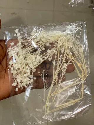 Natural dried baby breath flowers