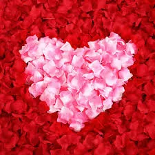 Rose petals