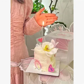 Butterfly bento/flower box
