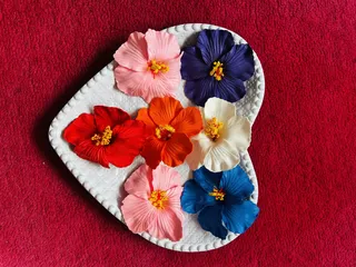 Rose petals claw clips