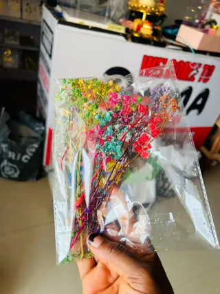 Natural dried baby breath flower