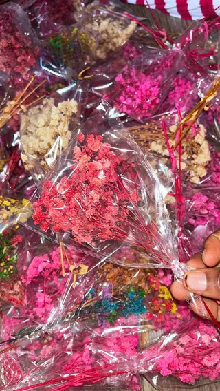 Natural dried baby breath flowers