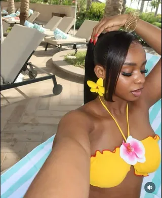 Orchid clip