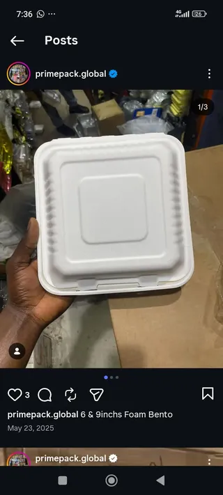 Foam bento pack