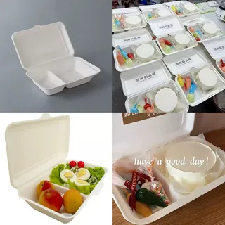 Foam bento pack