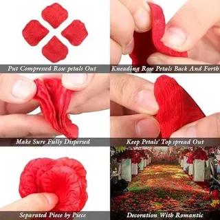 Rose petals