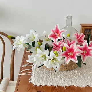 Lily flowers