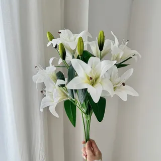 Lily flowers