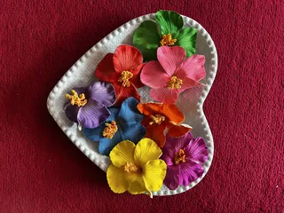 Rose petals claw clips