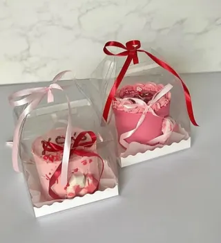 Gabble transparent boxes